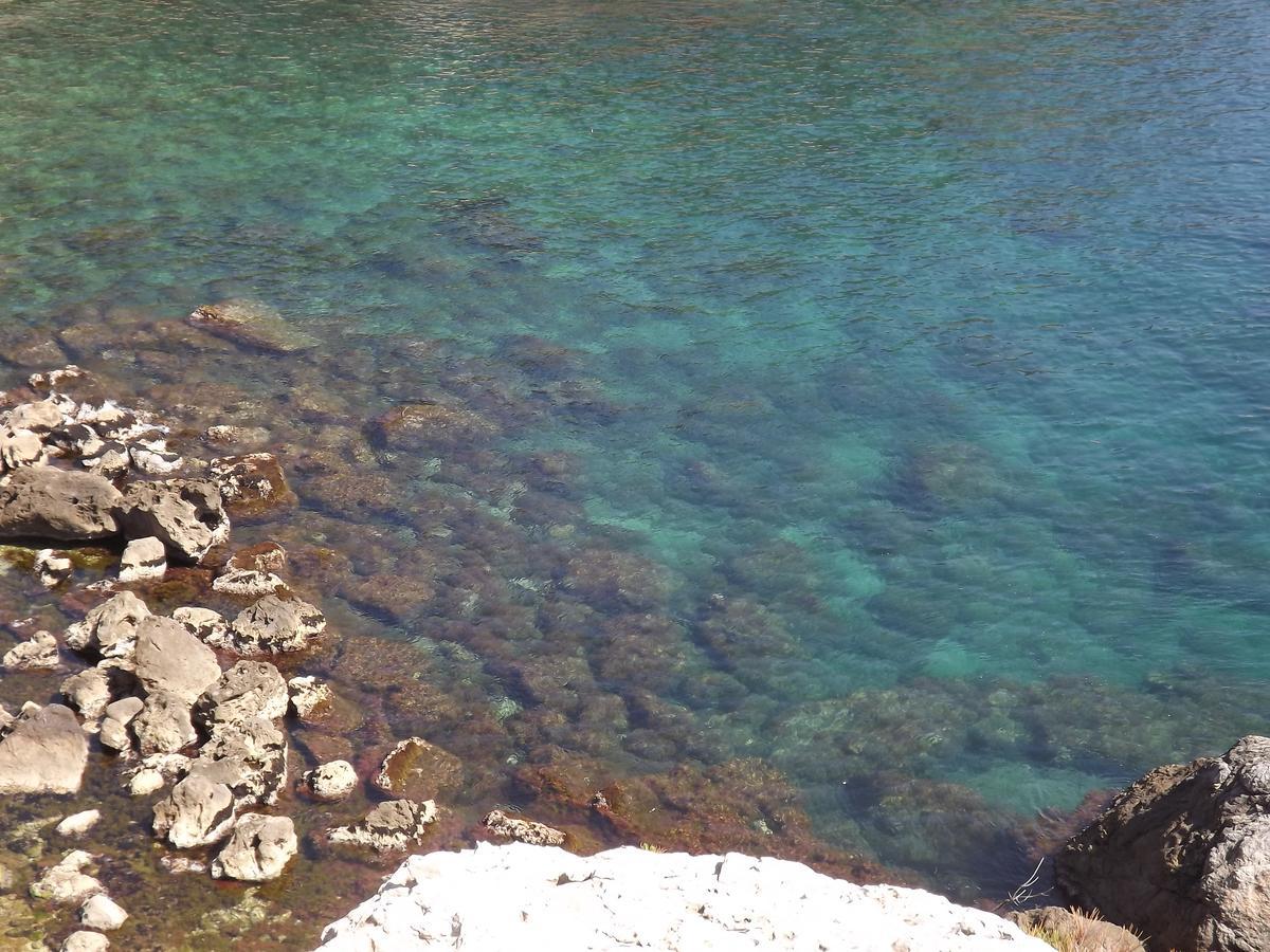 Le Cytharis Appartement La Ciotat Buitenkant foto