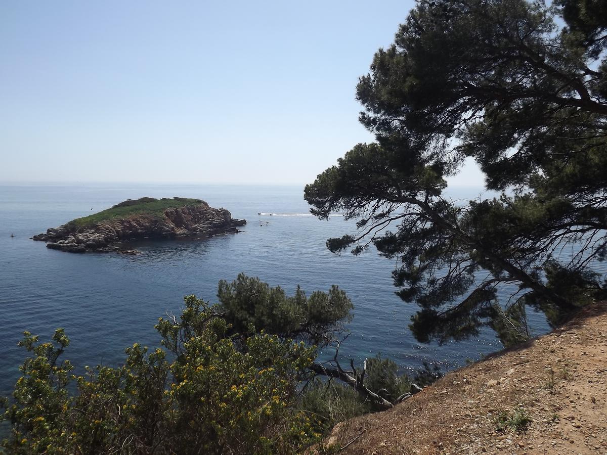 Le Cytharis Appartement La Ciotat Buitenkant foto
