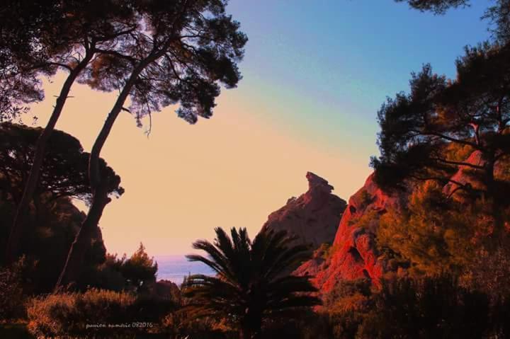 Le Cytharis Appartement La Ciotat Buitenkant foto