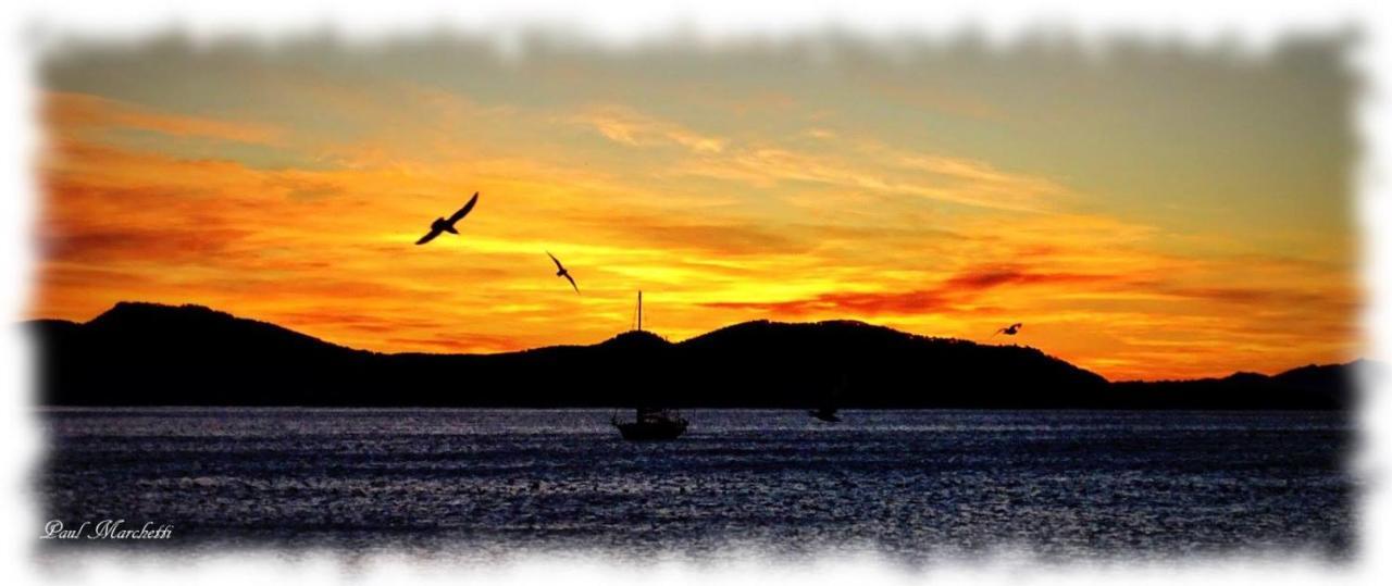 Le Cytharis Appartement La Ciotat Buitenkant foto